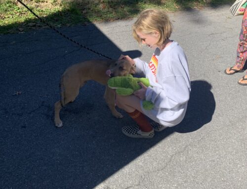 Who is cutier, the rescue puppy or the little girl?